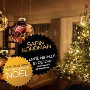 Sapin Nordman (1.80m/2m) livré et décoré