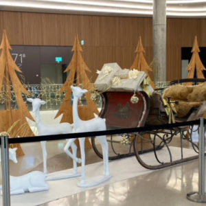 Traîneau du père Noël, taille XL (en location) – Image 5