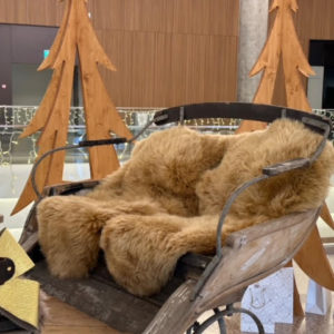 Traîneau du père Noël, taille XL (en location) – Image 6