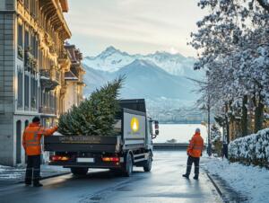 LIVRAISON-SAPIn-NOEL-GENEVE