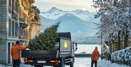 LIVRAISON-SAPIn-NOEL-GENEVE