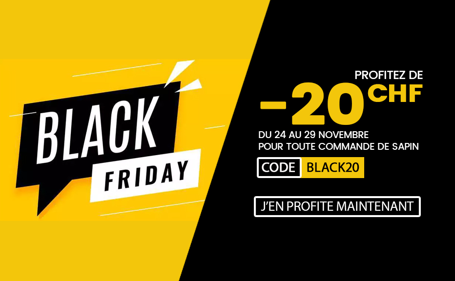 BLACK-FRIDAY-SAPIN-NOEL-GENEVE