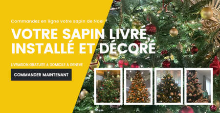 LIVRAISON-SAPIN-NOEL-GENEVE