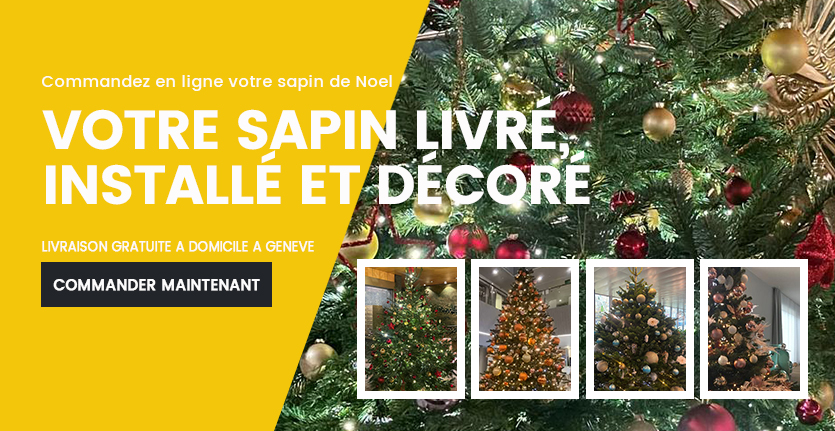 LIVRAISON-SAPIN-NOEL-GENEVE