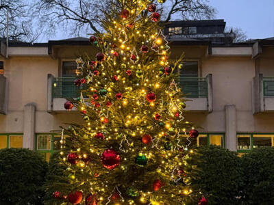 INSTALLATION-SAPIN-NOEL-GENEVE-9