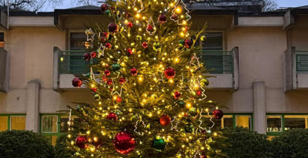 INSTALLATION-SAPIN-NOEL-GENEVE-9