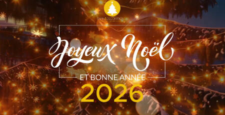 Sapin&Decoration-Voeux-2026